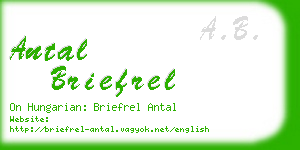 antal briefrel business card